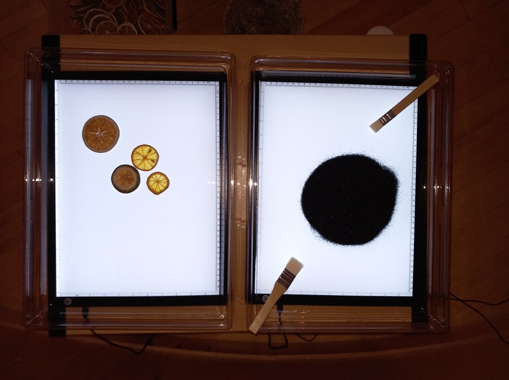 Quelques-unes des réalisations des professionnel-le-s présent-e-s à l&rsquo;atelier du Festi&rsquo;petits