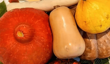 Journée professionnelle Festi&rsquo;petits